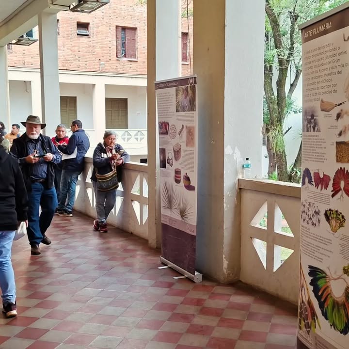 Museo Verde
